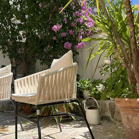 Mona Historic 아파트 *