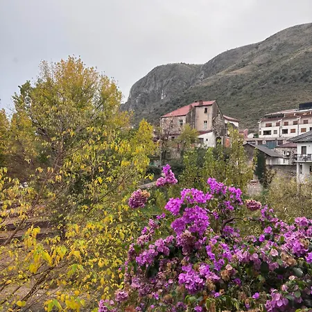 Mona Historic 아파트